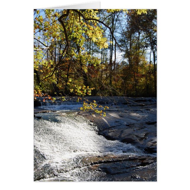 Cartão Riverside Sparkles 2 (Frente)