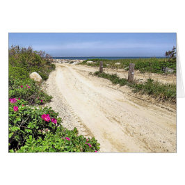 Cartão Road to Plymouth Beach
