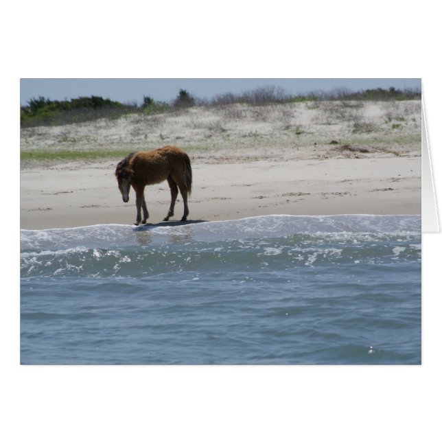 Cartão Roam Free (Frente horizontal)