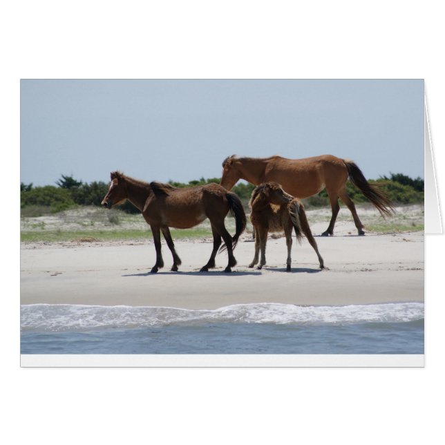 Cartão Roam Free II (Frente Horizontal)