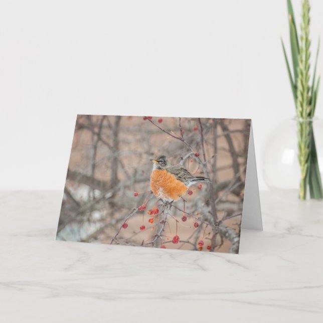 Cartão Robin 1 (Frente)