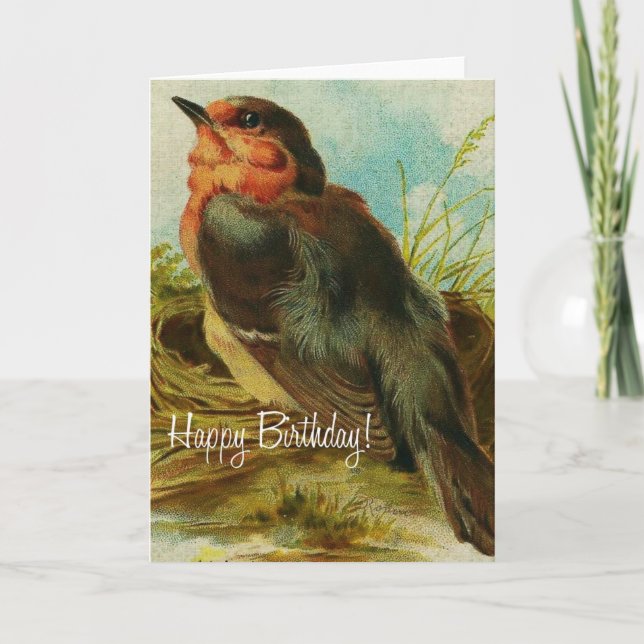 Cartão Robin Birthday (Frente)