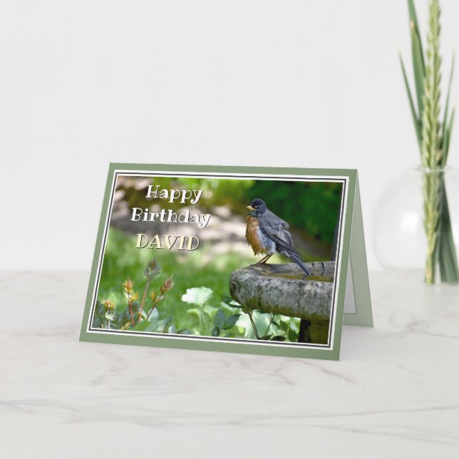 Cartão Robin Birthday Engraçado (Frente)