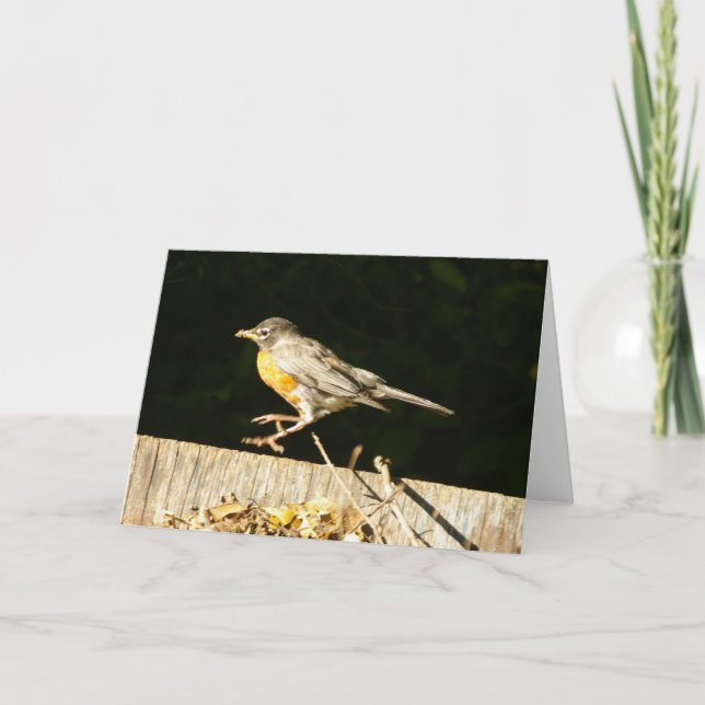 Cartão Robin Card (Frente)