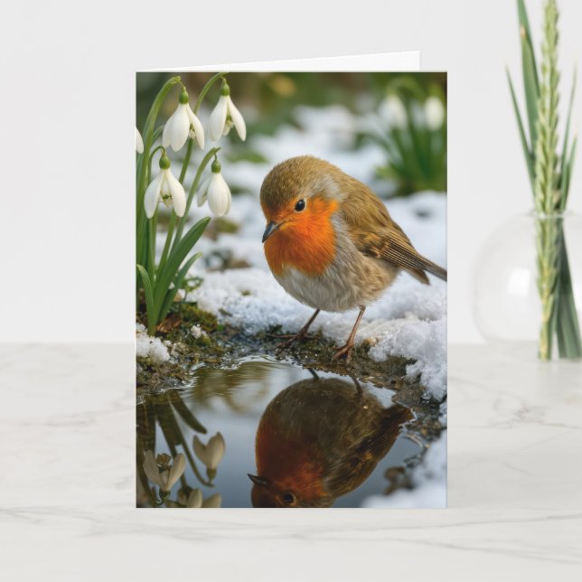 Cartão Robin de aniversário com flocos de neve (Frente)