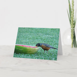 Cartão Robin Enjoys Watermelon, 4 de julho