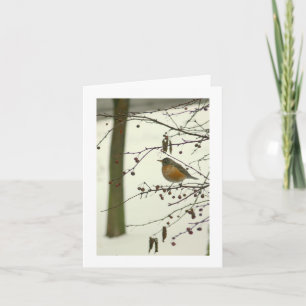 CARTÃO "ROBIN ON TREE BRANCH, SNOVE ON GROUND" (FOTO)
