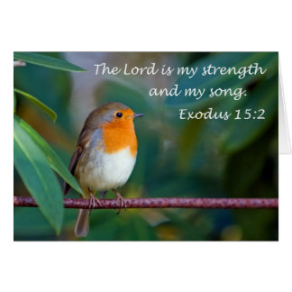 Cartão Robin Song Card