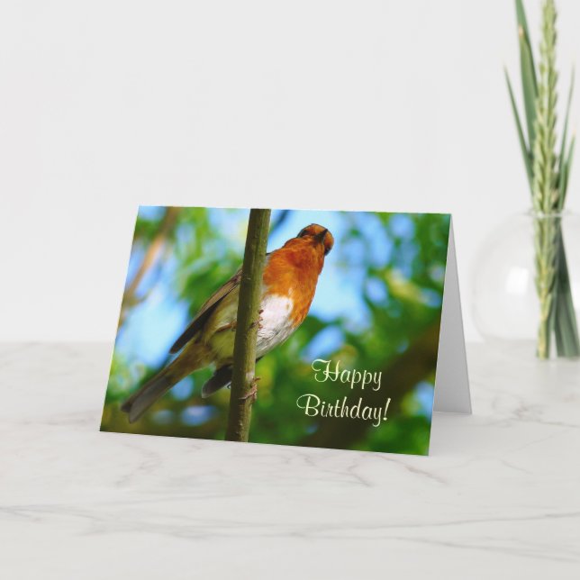 CARTÃO ROBINS (Frente)