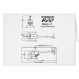 Cartão Robinson R-22