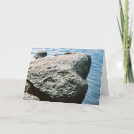 Cartão Rocha da lareira