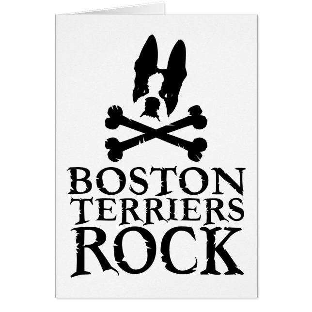 Cartão Rocha oficial Merch dos terrier de Boston (Frente)