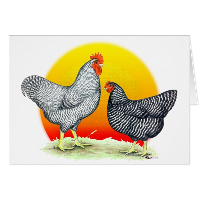 Cartão Rochas de Plymouth:  Nascer do sol (Frente Horizontal)