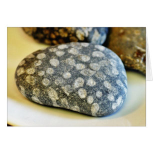 Cartão Rochas dos fósseis corais