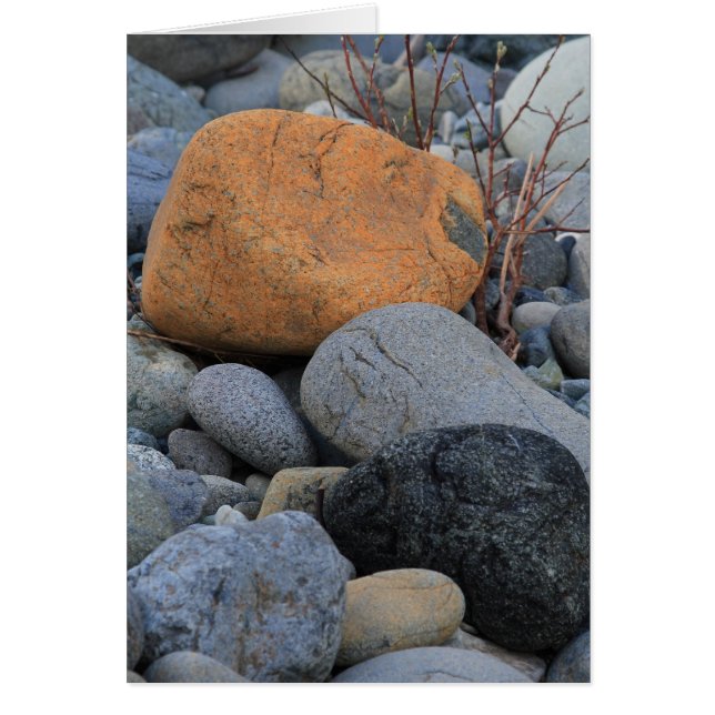 Cartão Rochas na floresta da sequóia vermelha (Frente)