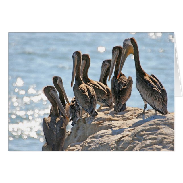 Cartão Rock Pelicano (Frente Horizontal)