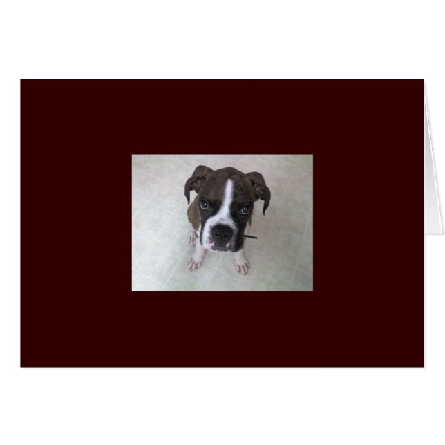 Cartão Rocky - Boxer Puppy (Frente horizontal)
