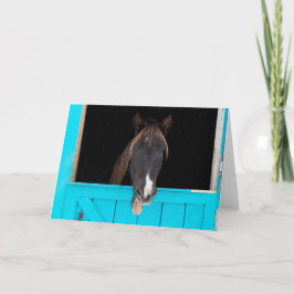 Cartão Rocky Mountain Yawn