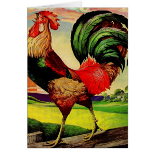 Cartão Rocky the Handsome Rooster