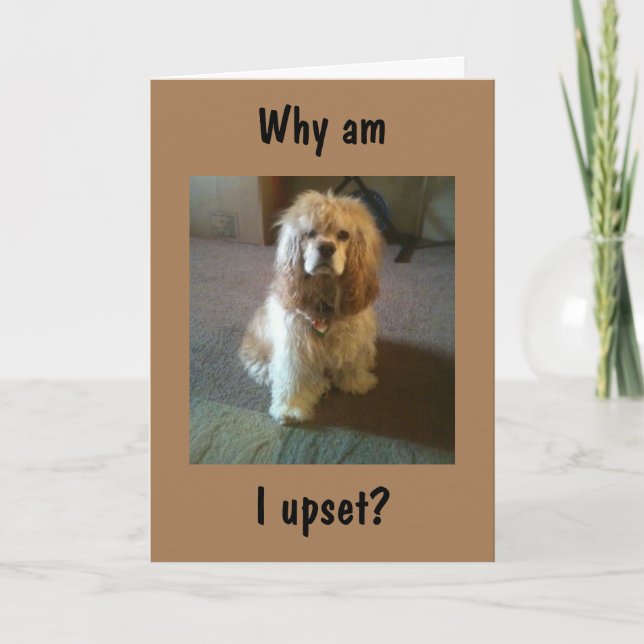 CARTÃO RODANDO "65" E AINDA PARECE "21" TÃO CHATEADO! CAR (Frente)