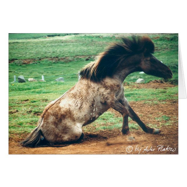Cartão rodar em torno de 2 (Frente Horizontal)