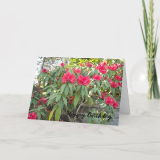 Cartão Rododendro vermelho