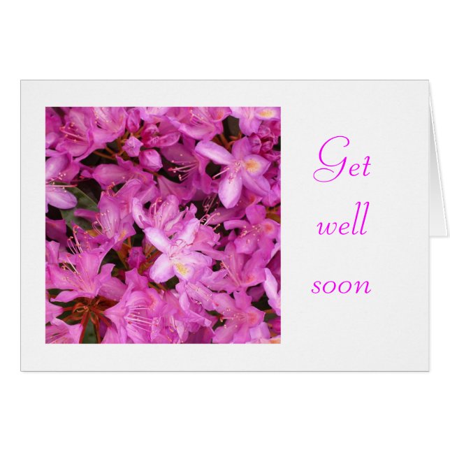 Cartão rododendron (Frente Horizontal)