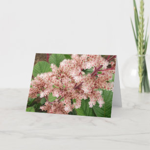 Cartão Rogersia Flower Blank Notecard