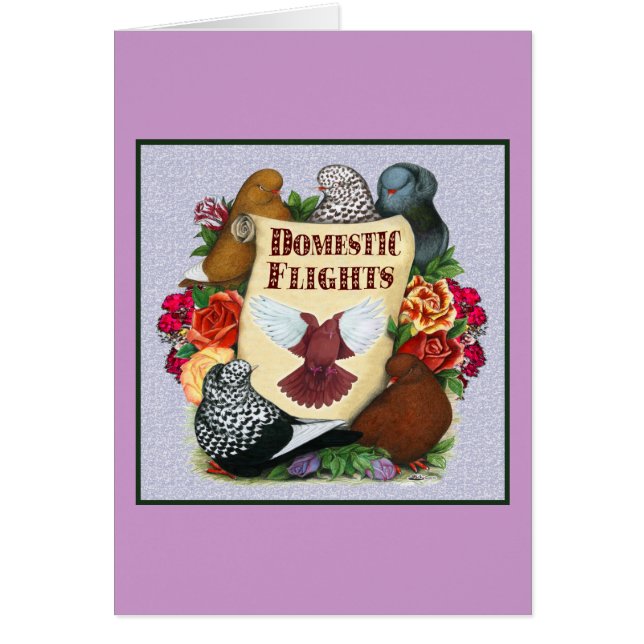 Cartão Rolagem de Voo Doméstico (Frente)