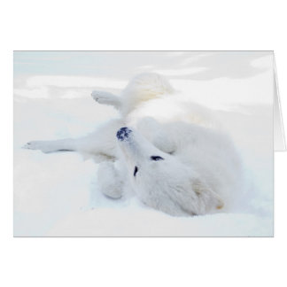 Cartão Rolamento na neve