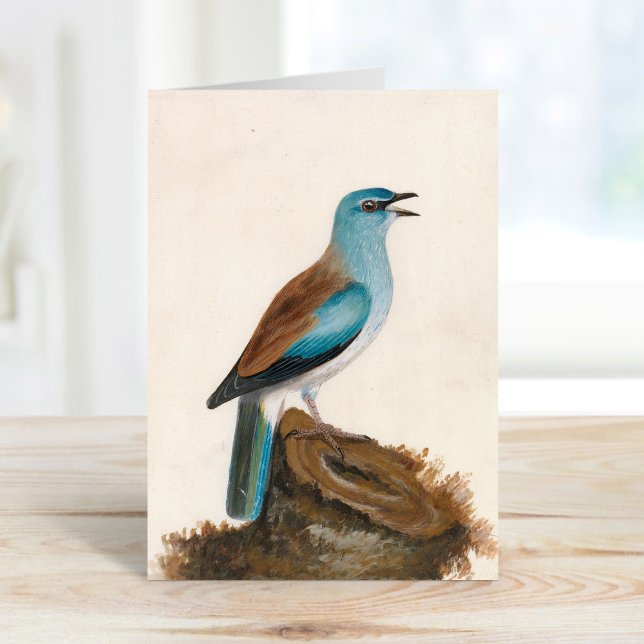 Cartão Roller Garrulous | William Lewin (Criador carregado)