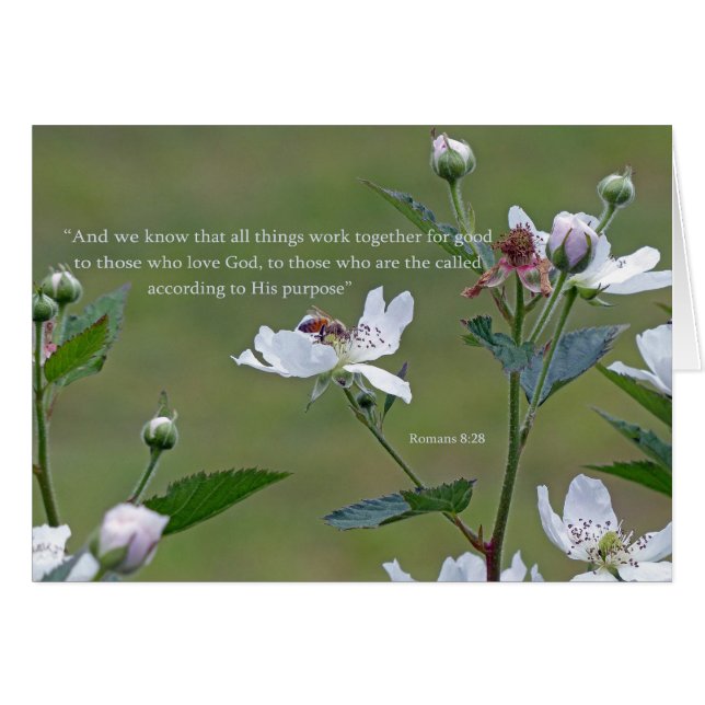 Cartão Romanos 8:28 (Frente Horizontal)