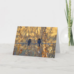 Cartão Romantic sparrow bird couple, Photo Greeting