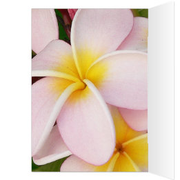 Cartão romântico floresce rsvp chic colorido