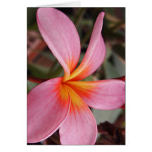 romântico floresce rsvp chic colorido