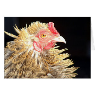 Cartão Roo do Frasco