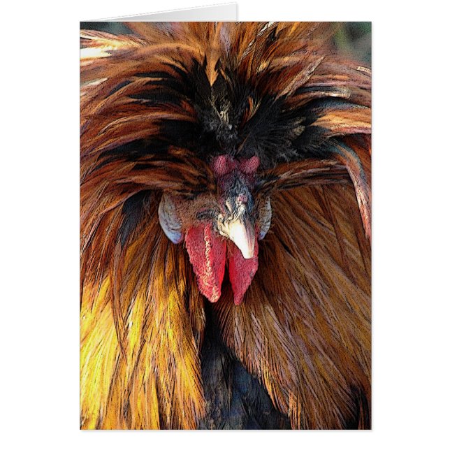 Cartão Roo Polonês (Frente)