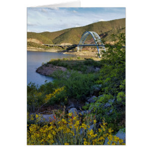 Cartão Roosevelt Lake Bridge Arizona Amarelos Flores Selv
