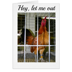 CARTÃO ROOSTER QUER DIZER SEUS DESEJOS DE ANIVERSÁRIO PAR