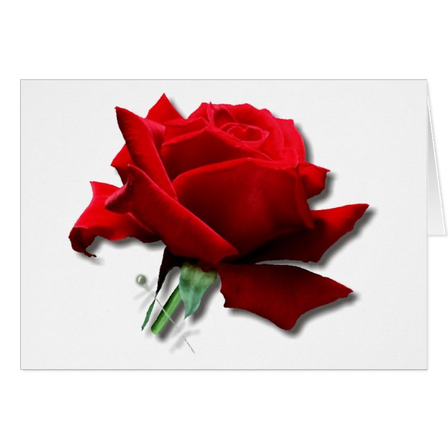 Cartão Rosa (Frente Horizontal)