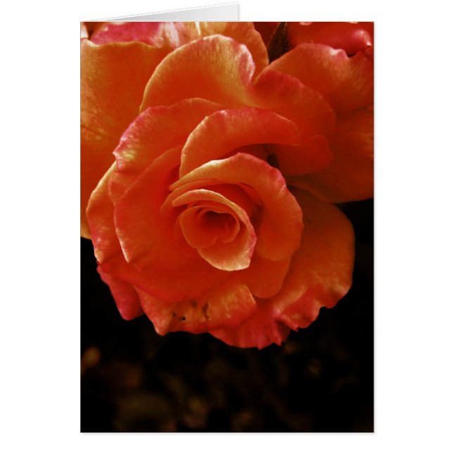 Cartão Rosa (Frente)