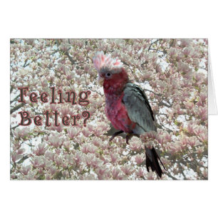 Cartão Rosa agradado