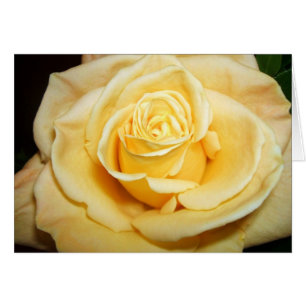 Cartão Rosa Amarela
