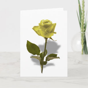 Cartão Rosa Amarela da Amizade