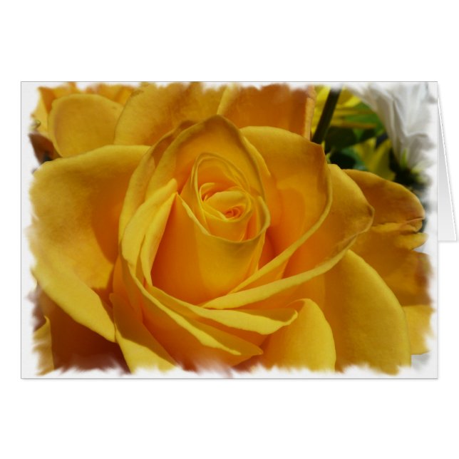 Cartão rosa amarelo (Frente Horizontal)