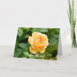Cartão Rosa Amarelo Laranja Pensando Em Você
