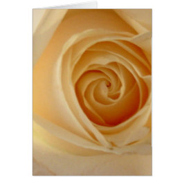 Cartão Rosa Amarelo Suave