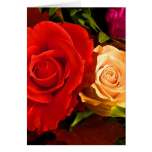 Cartão Rosa Amarelo-Vermelho
