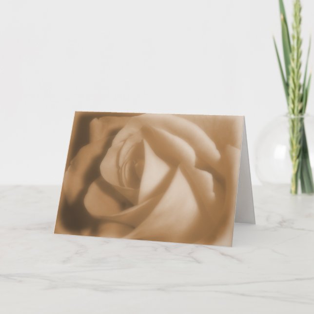 Cartão Rosa antigo (Frente)