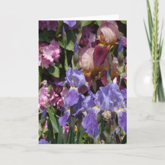 Cartão Rosa azul roxo do jardim da íris